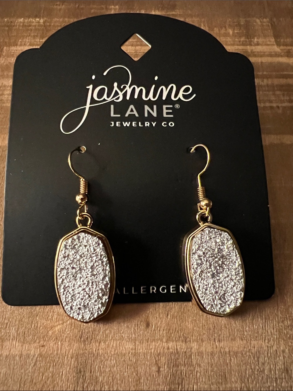 3/$18 Jasmine Silver Druzy Drop Earrings with Gold Frame Lot 6089
